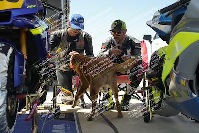 media/Apr-12-2024-2WTD (Fri) [[cde236eda6]]/Around the Pits/